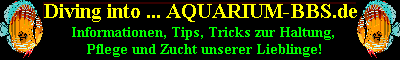 www.aquarium-bbs.de